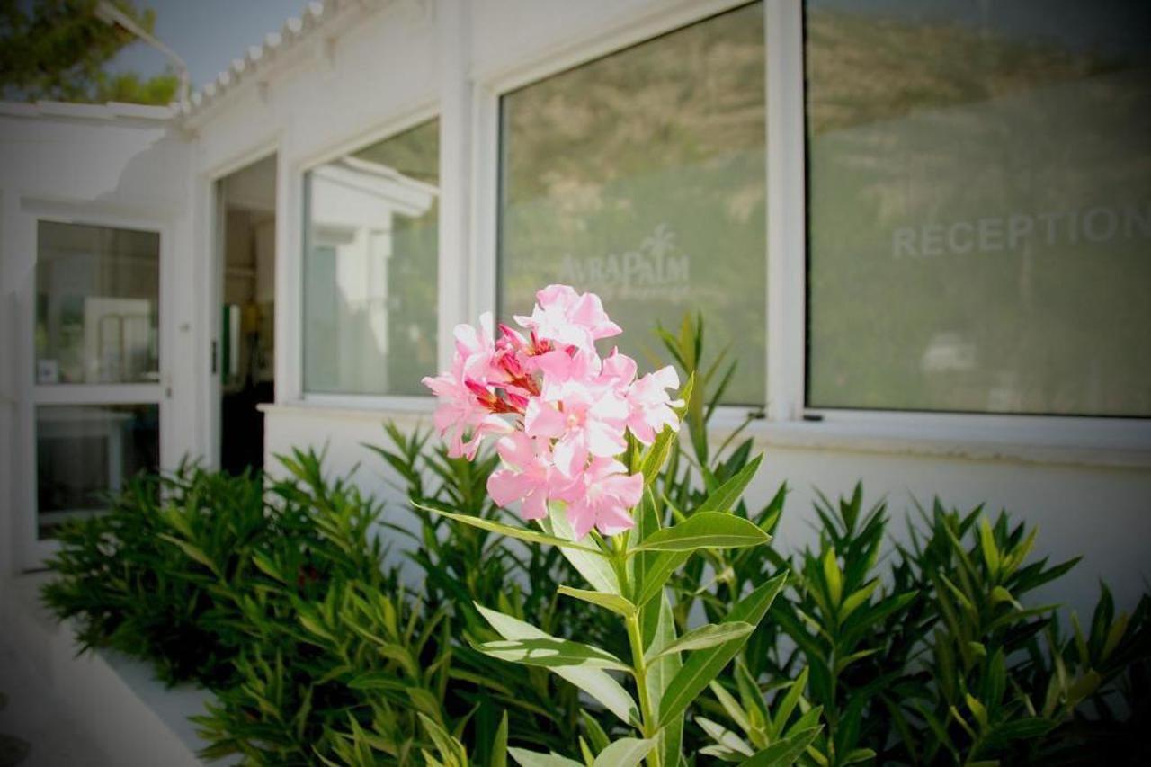 Avra Palm Aparthotel Ierapetra  Ngoại thất bức ảnh